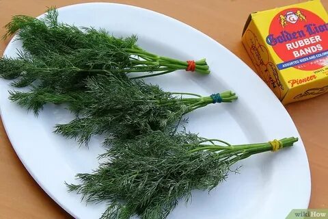 ارزان ترین شوید خشک بلغور + بازار سمنان